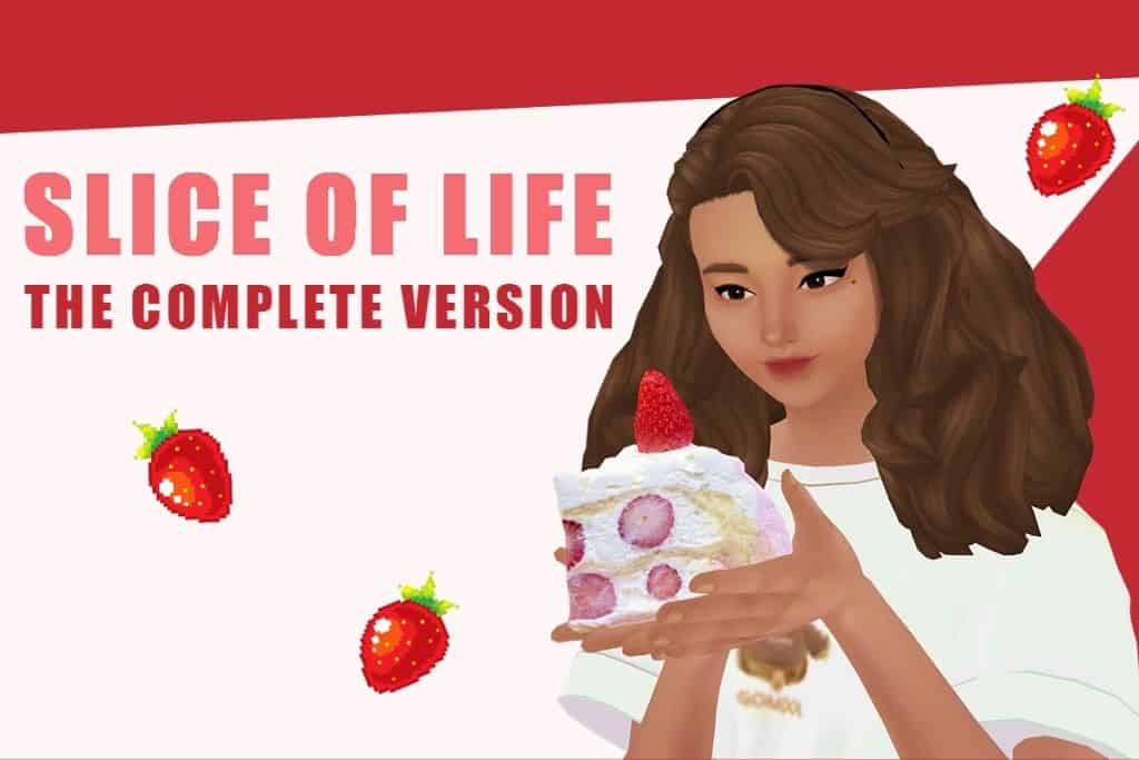 Sim Holding Slice Cake