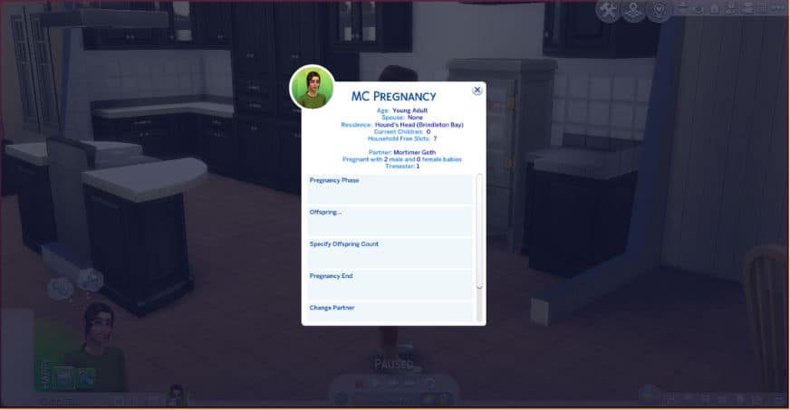 screenshot of MC pregnancy mod options