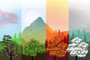 sims 4 weather cheats seasons collage