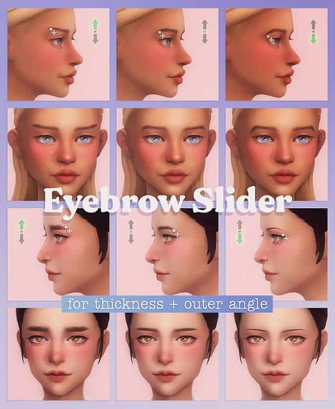 collage various eyebrows length thickness