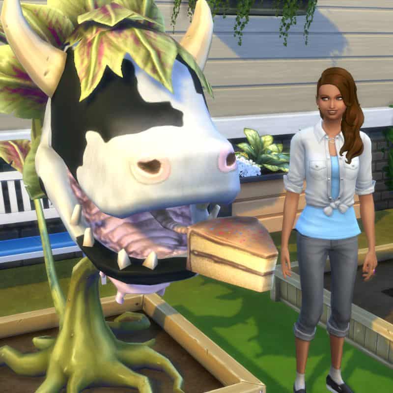 cowplant offering cake to sim