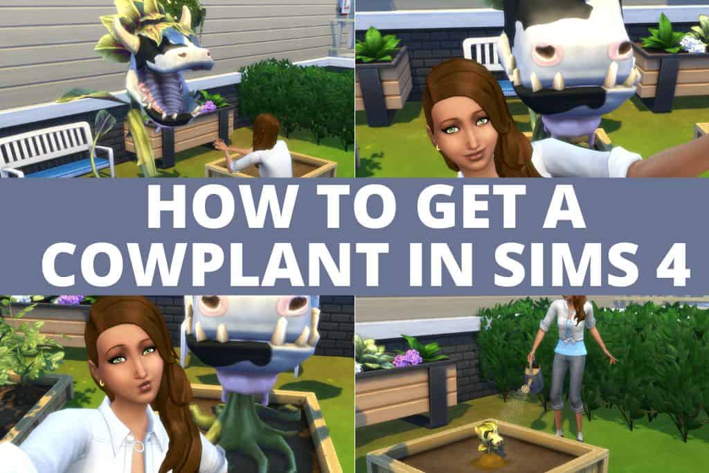 How to Get a Cowplant in Sims 4 collage