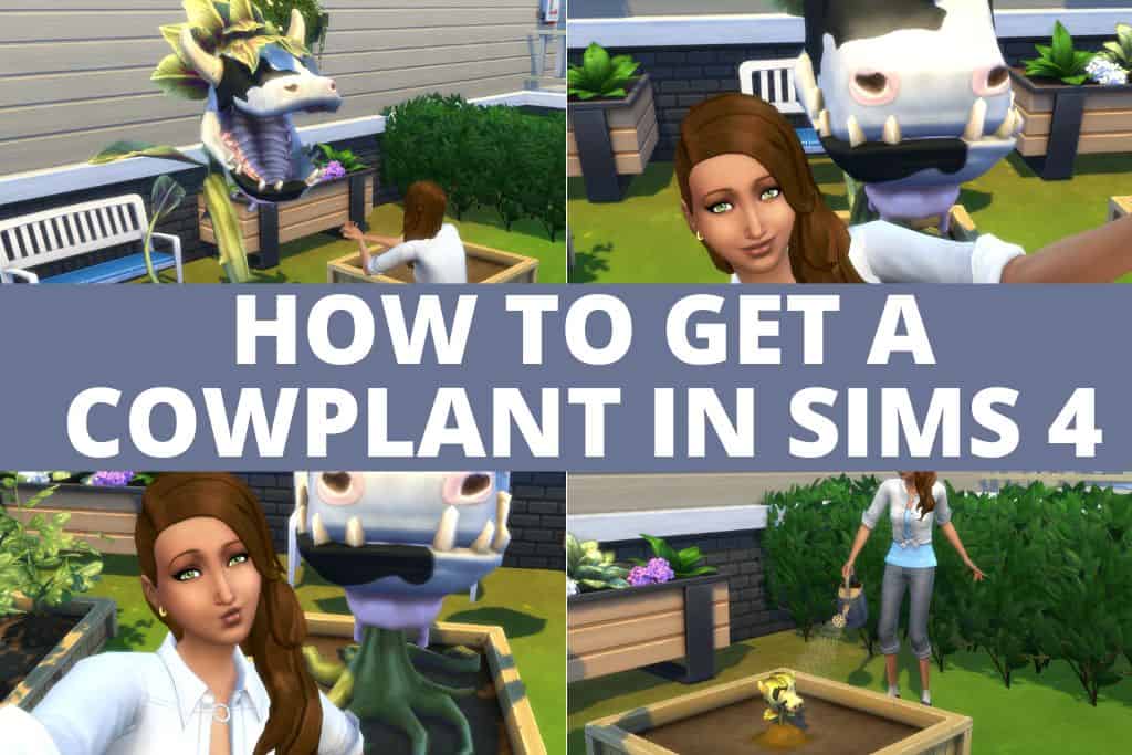 How To Get A Cowplant In Sims 4 (Easy Guide) - We Want Mods