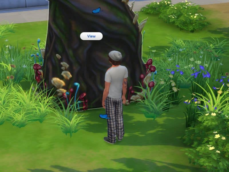 sim looking at a tree