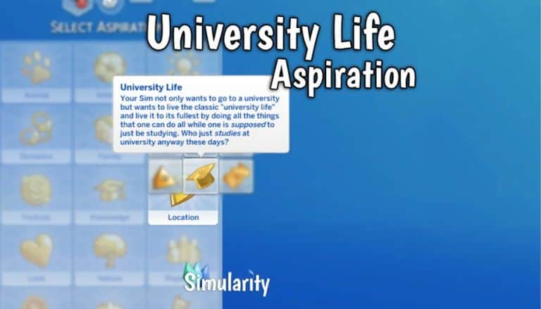 cas description university life aspiration