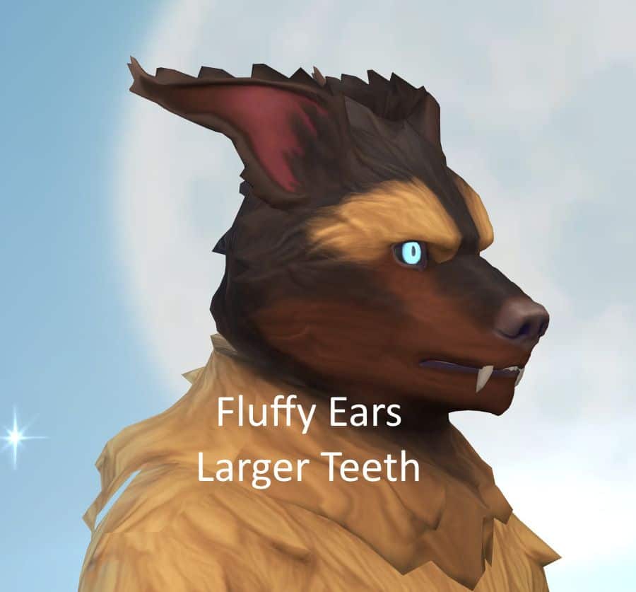 werewolf with fluffy ears and larger teeth