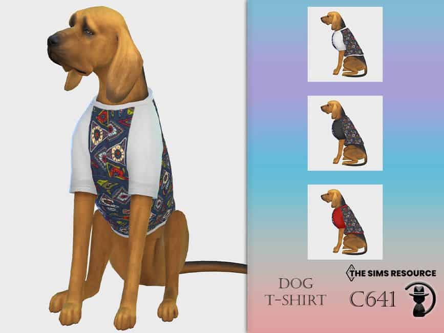 large dog wearing a paisley shirt