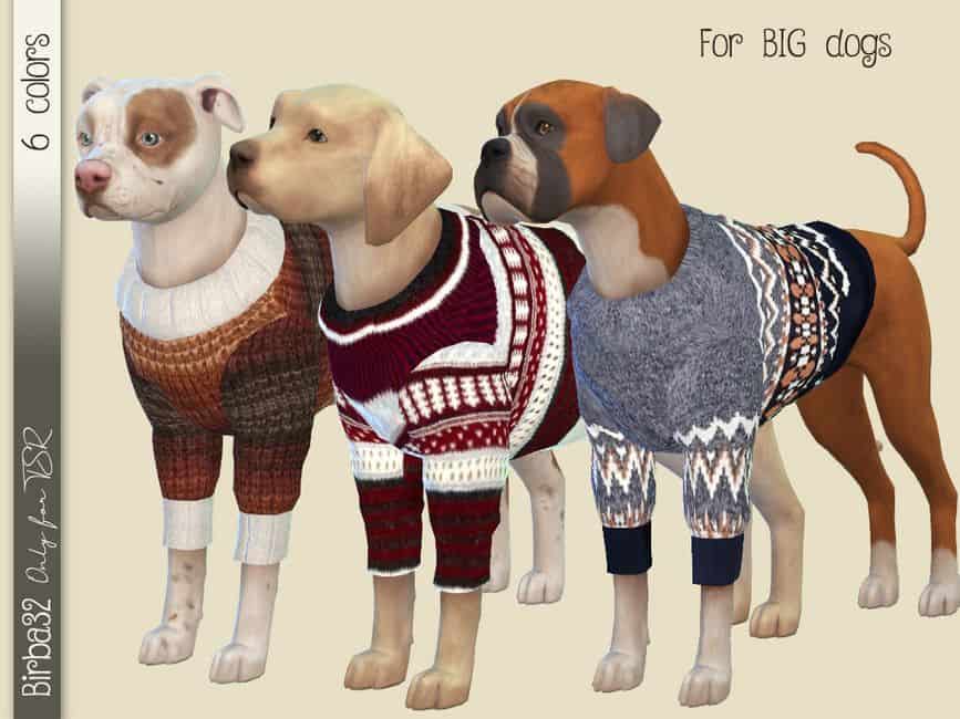 three large dogs wearing winter sweaters