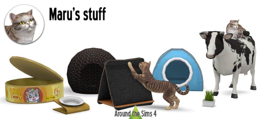 various objects for cats