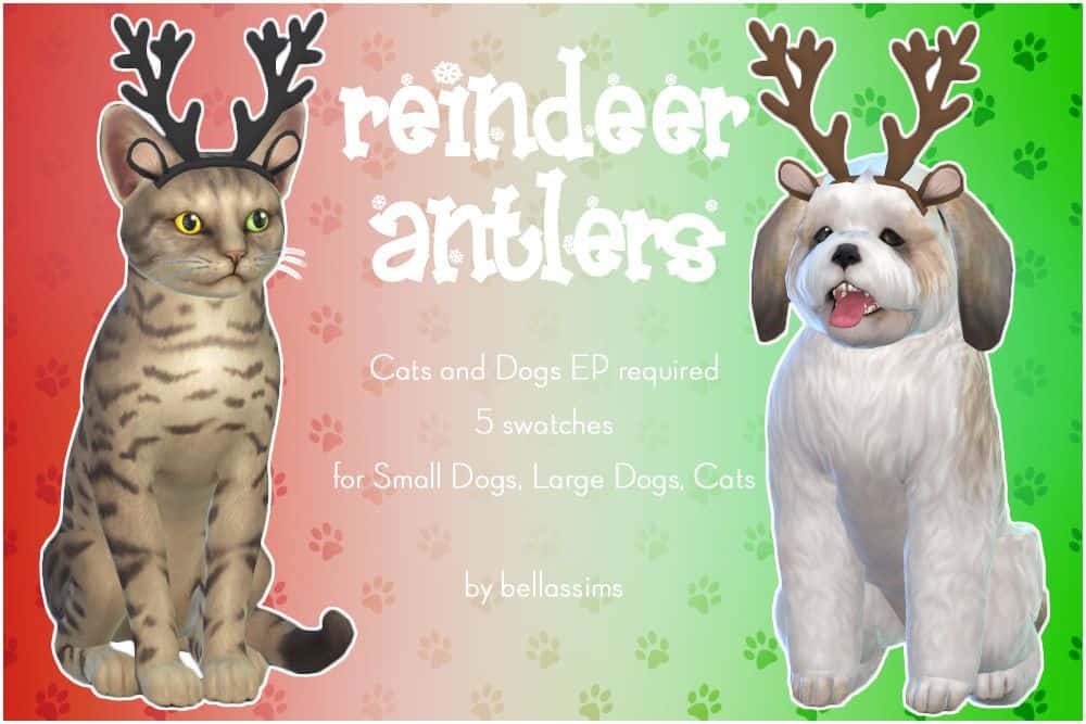 cat and dog with reindeer antlers