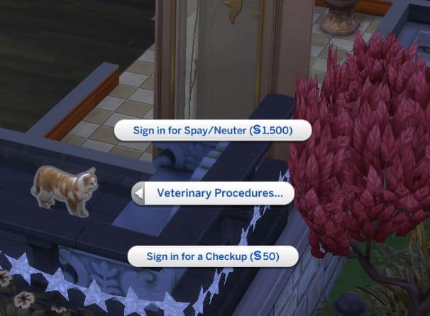 interaction option for vet procedures