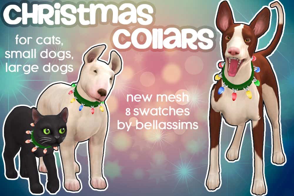 pets with xmas lights collars