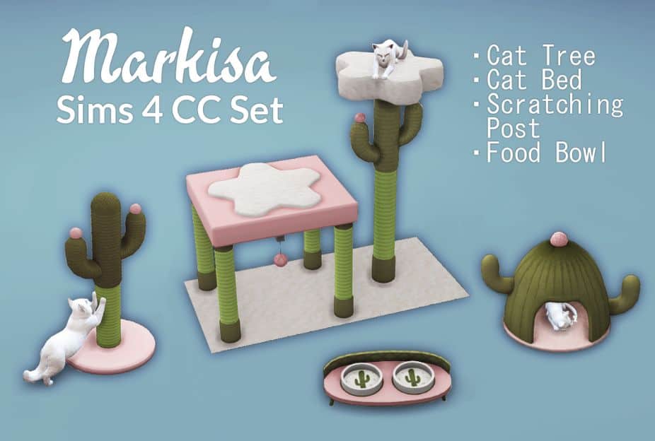 cactus inspired cat accessories set