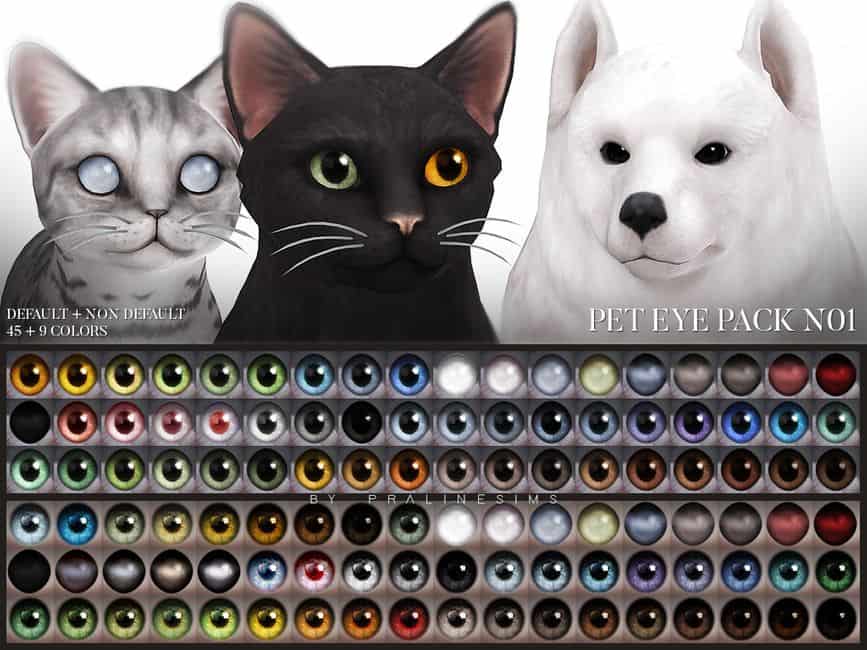 pets with different eye swatches