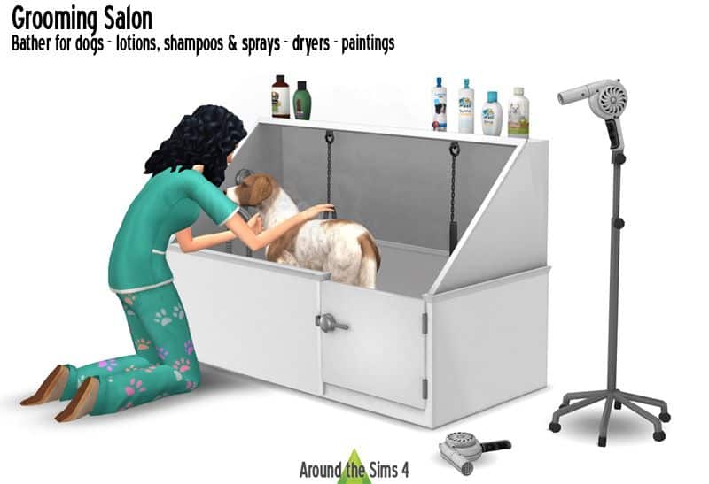 veterinarian grooming dog