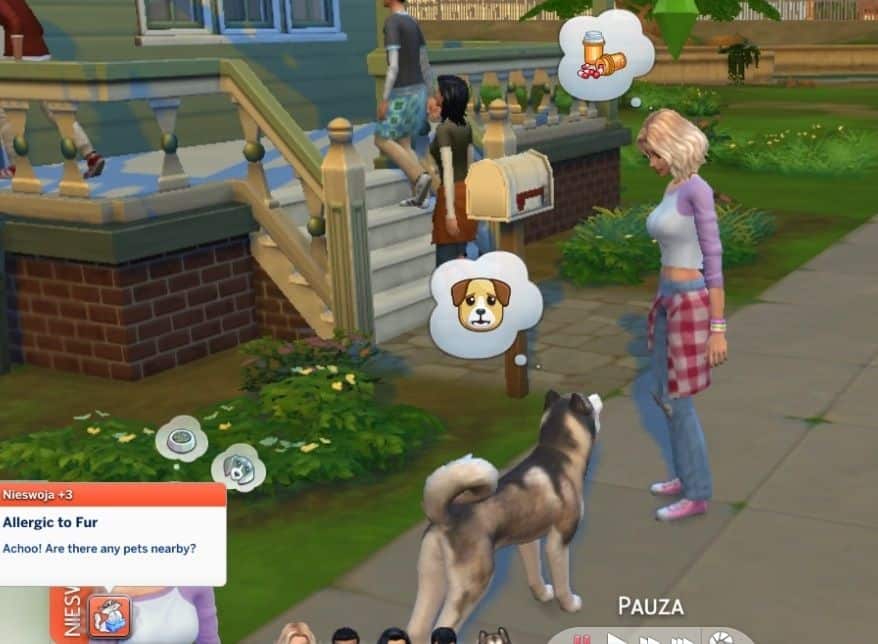 sim concerned about dog allergies