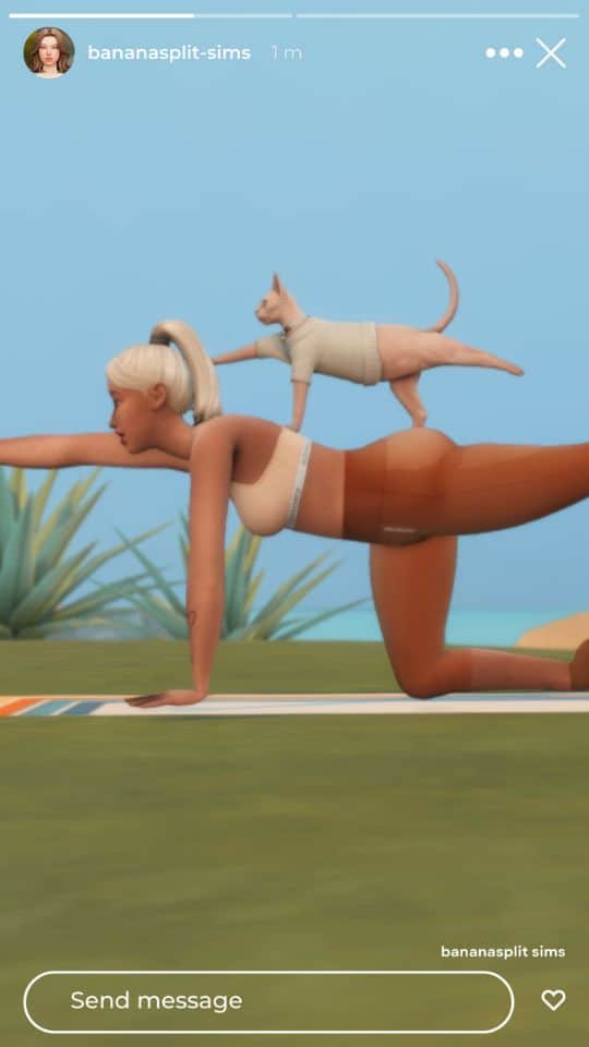 sim woman and cat doing yoga