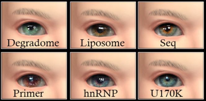 collage of 6 natural infant eyes cc