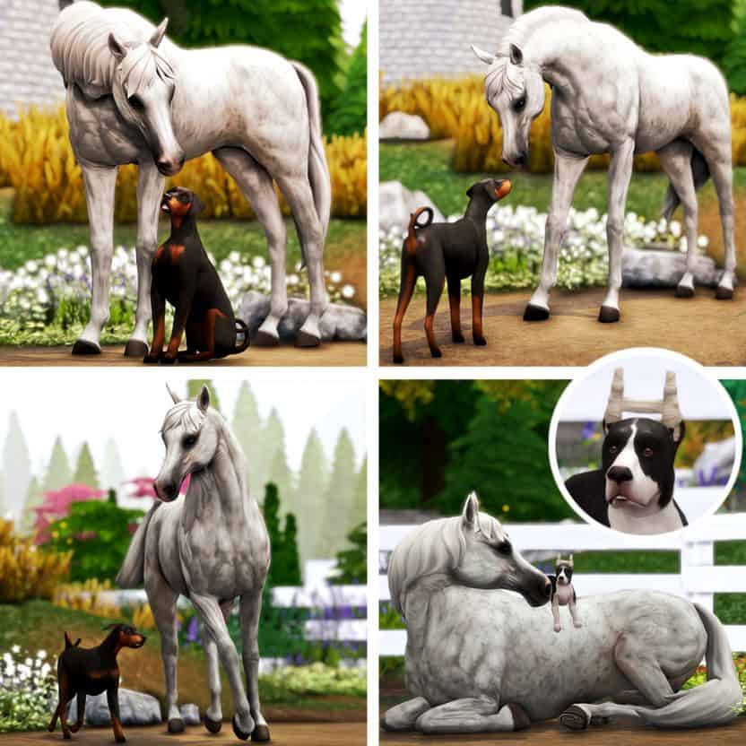 horse and dog pose pack