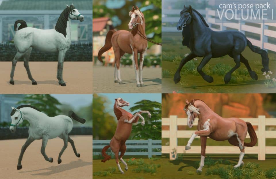 collage of mixed sim horses