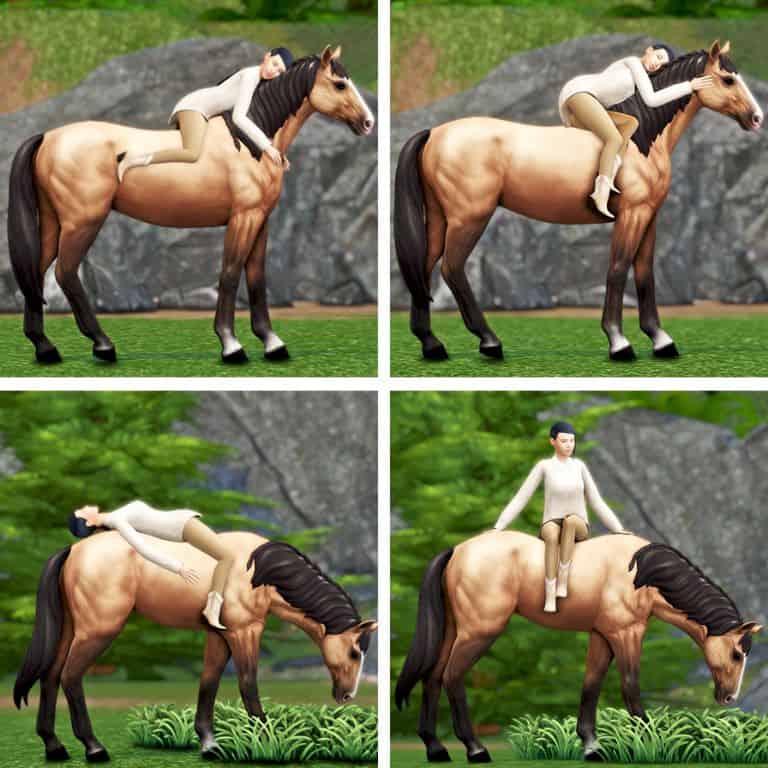 collgage of a sim and horse lounging together