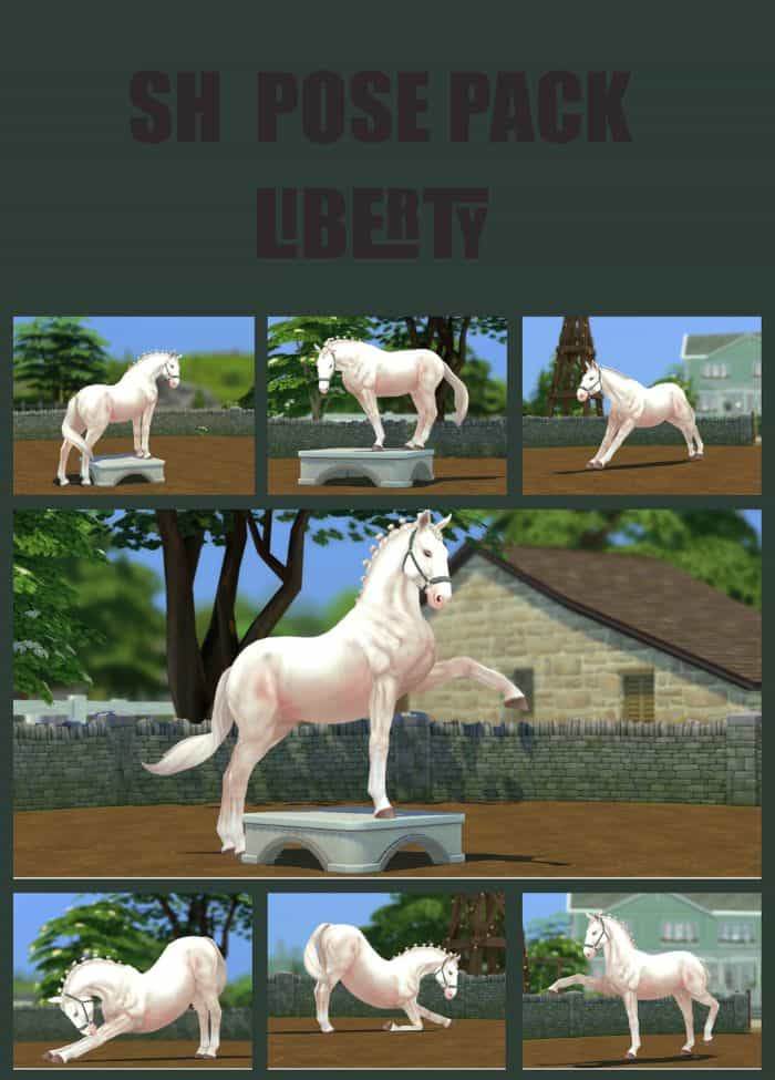 horse posing pack