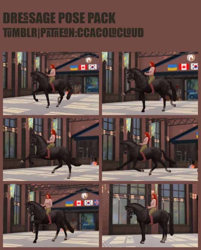 horse dressage pose pack