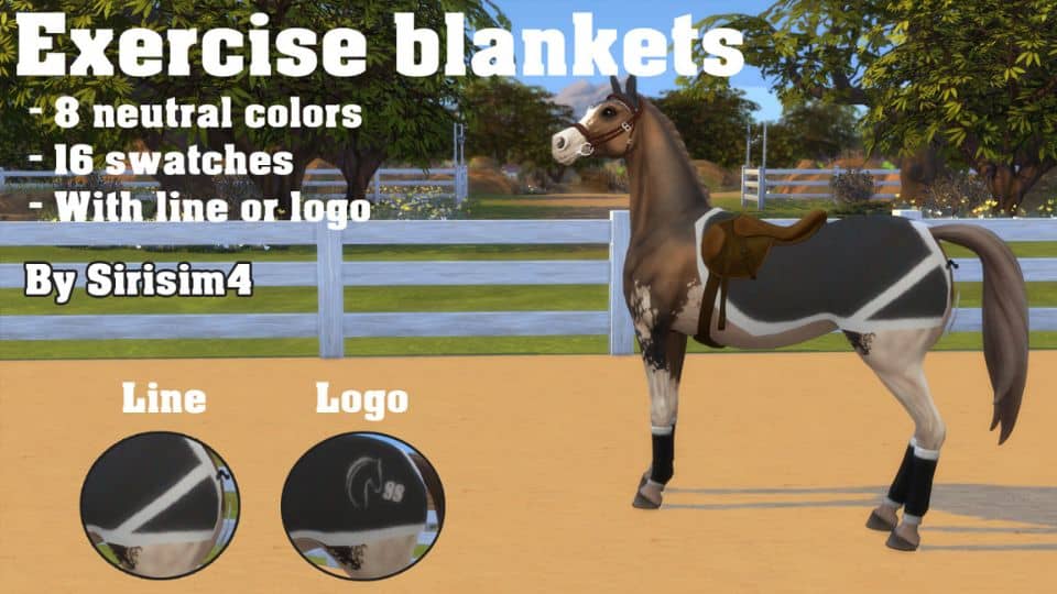 horse wearing a dark grey exercise blanket