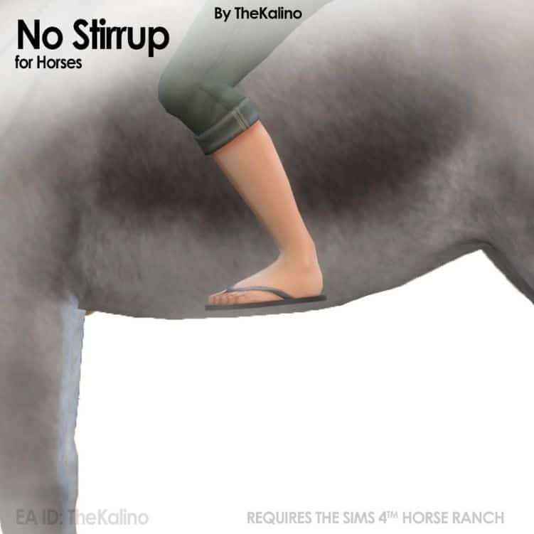 leg mounted on horse without stirrup