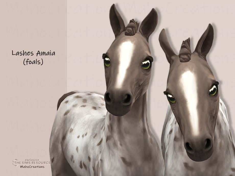 two foals with short eyelashes