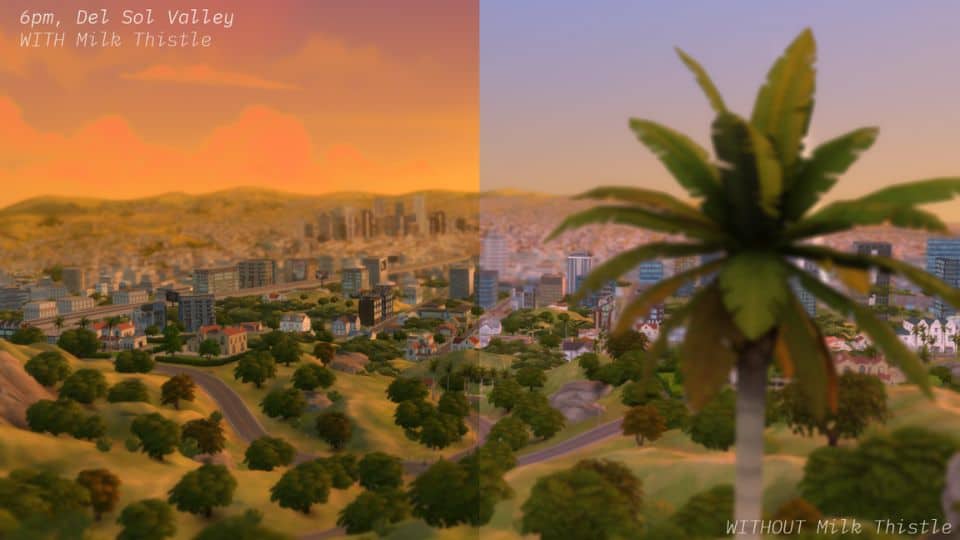 view city in two different sunset lightings