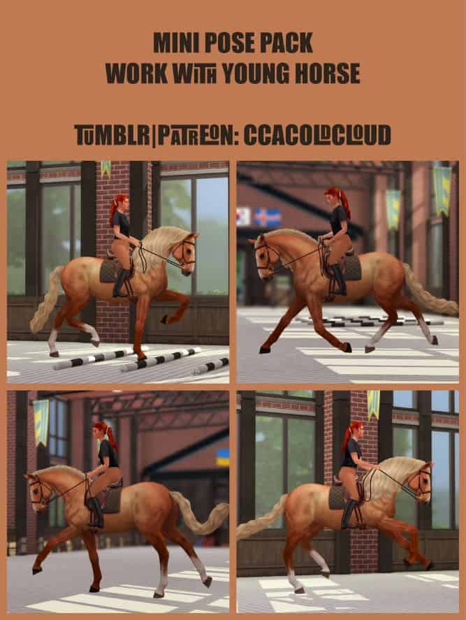 collage of poses with a sim and a young horse