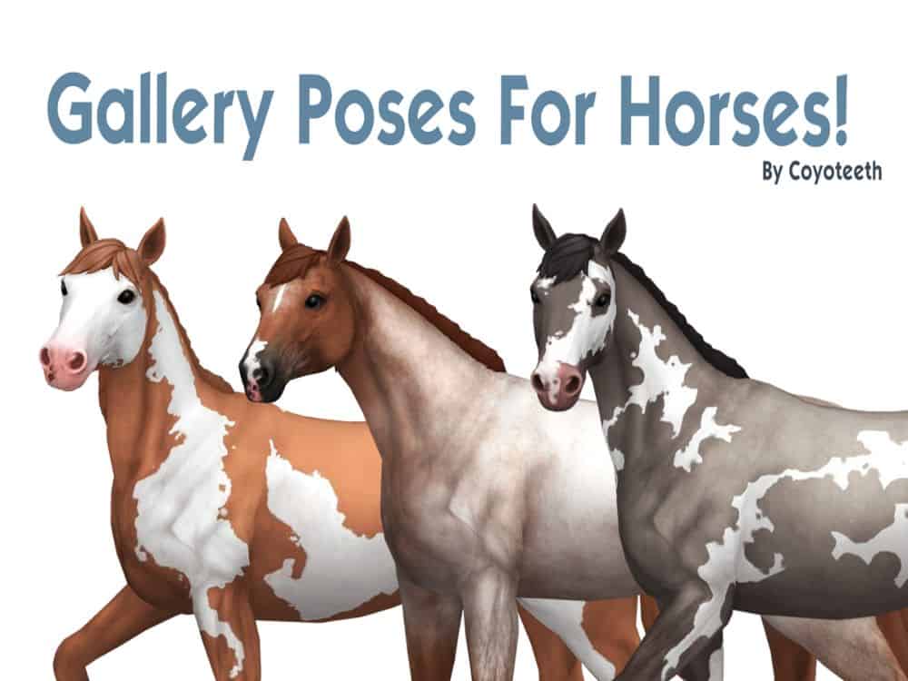 three sim horses with white background