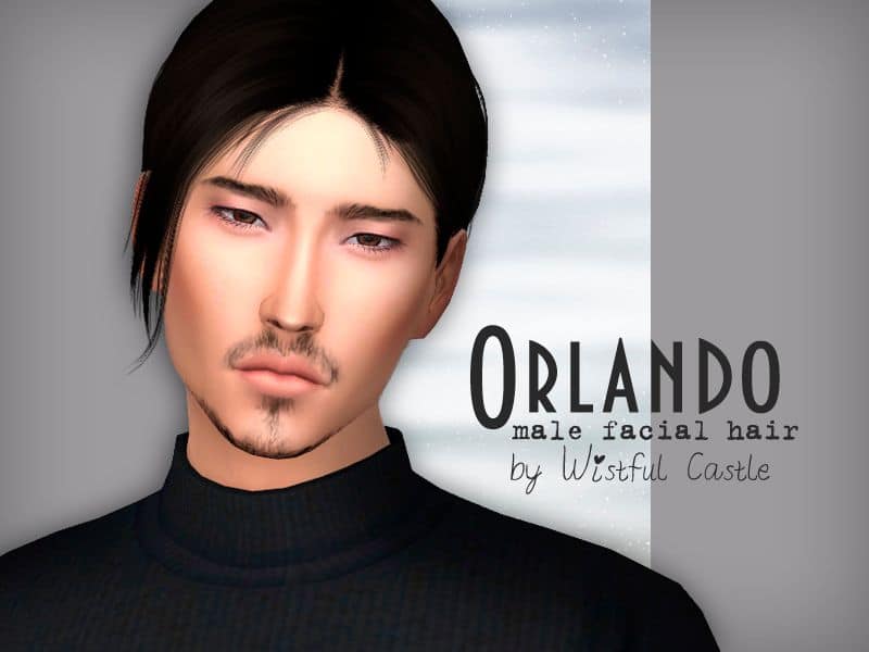 asian sim with facial hair