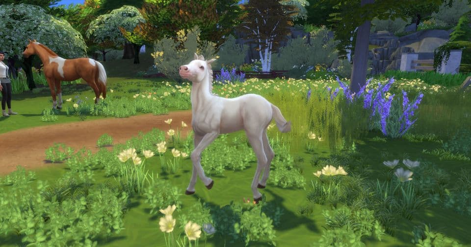 white foal trotting on grass