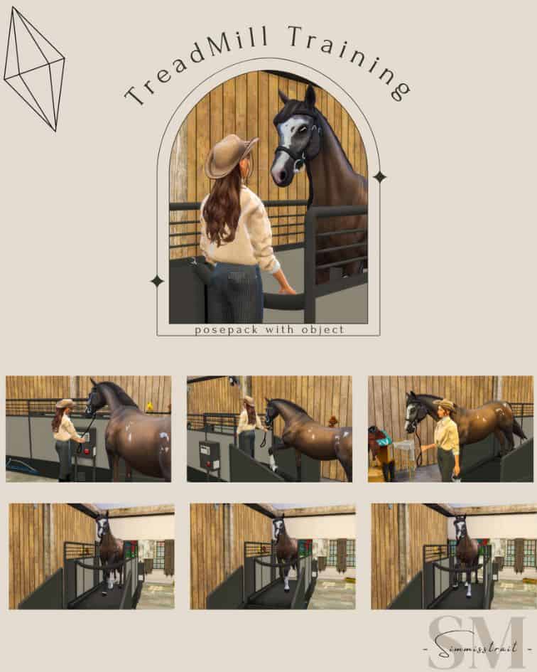 collage horse training on treadmill