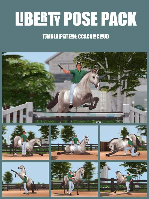 collage equestrian poses