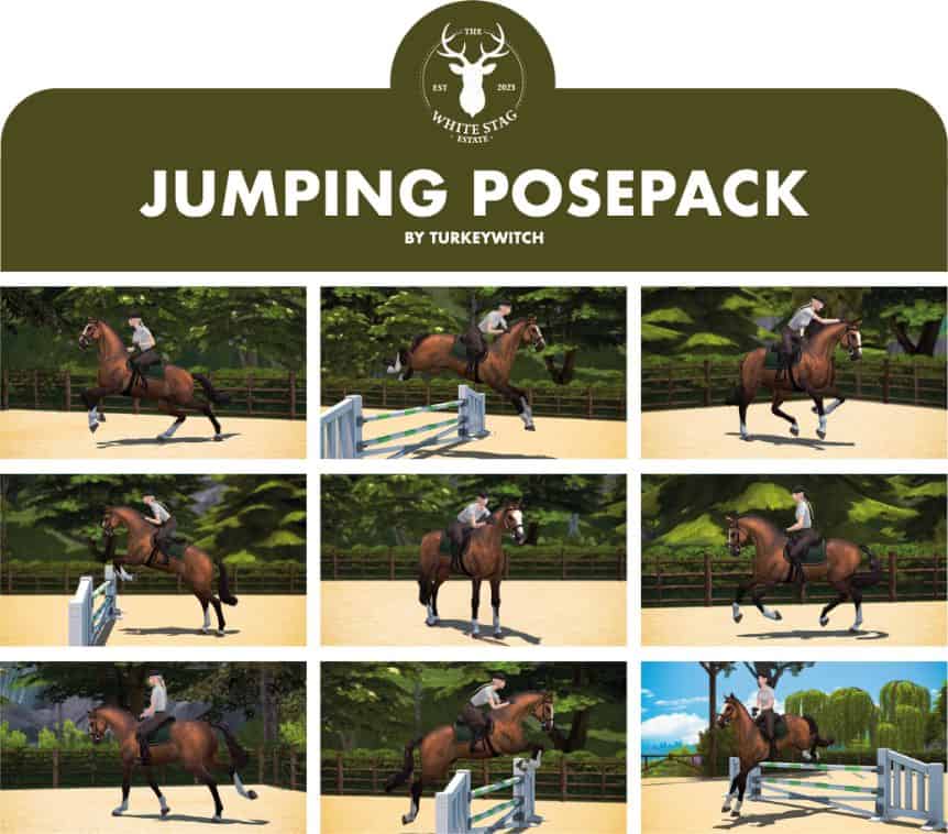 collage horse jumping over obstacles