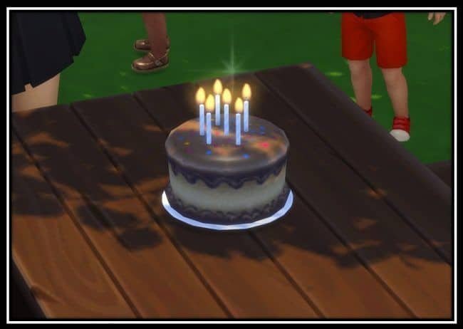 lit up birthday cake on picnic table