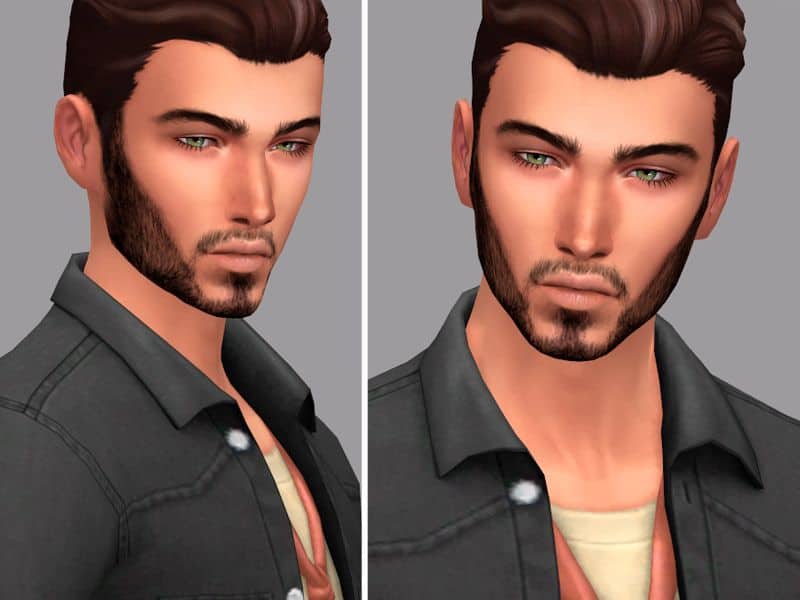 closeup sim short haired beard