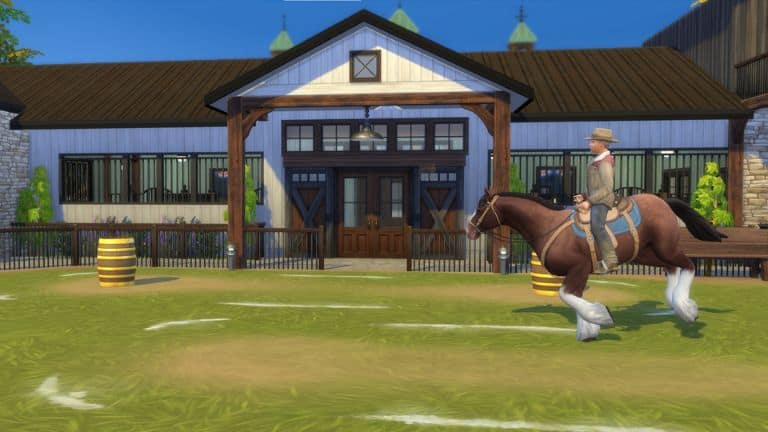 horse galloping on training grounds