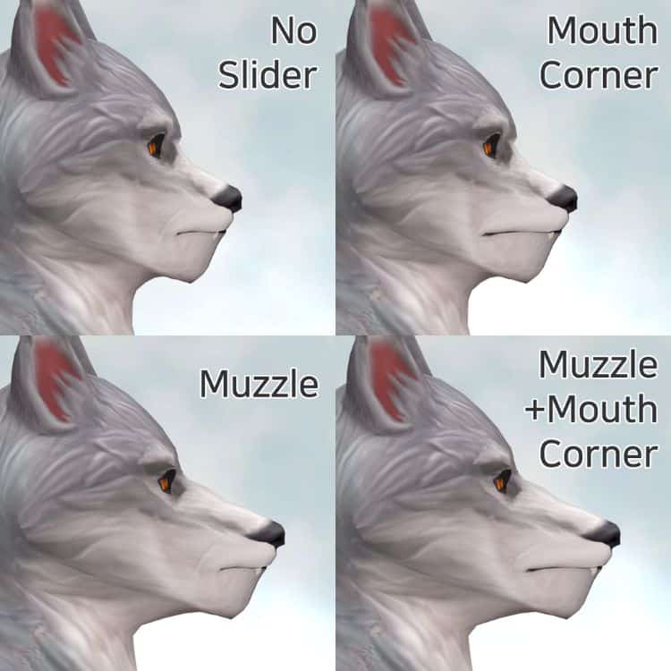 collage different length muzzle