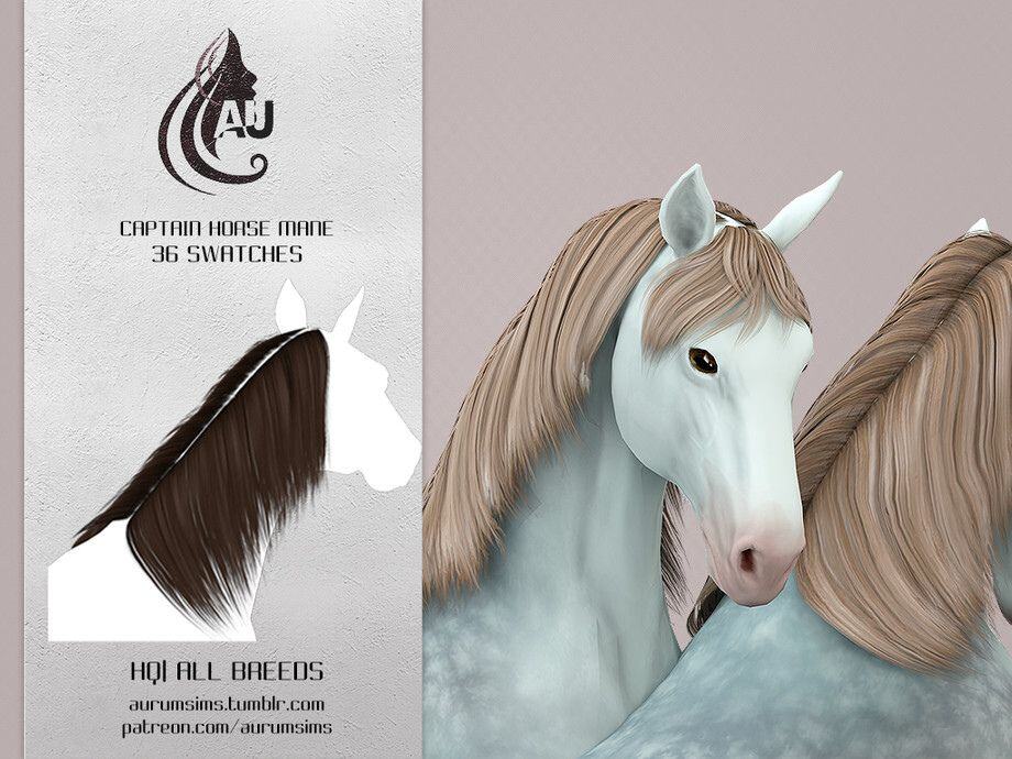 a grey horse with a beige straight mane and bangs