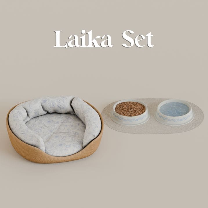 a pet ped, food, water bowl and mat