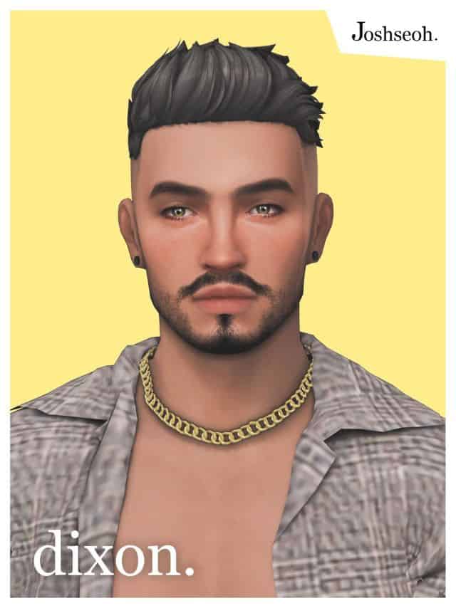 male sim with short hair, neat hair