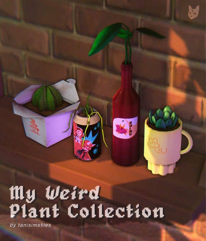 four weird potted plants on a shelf
