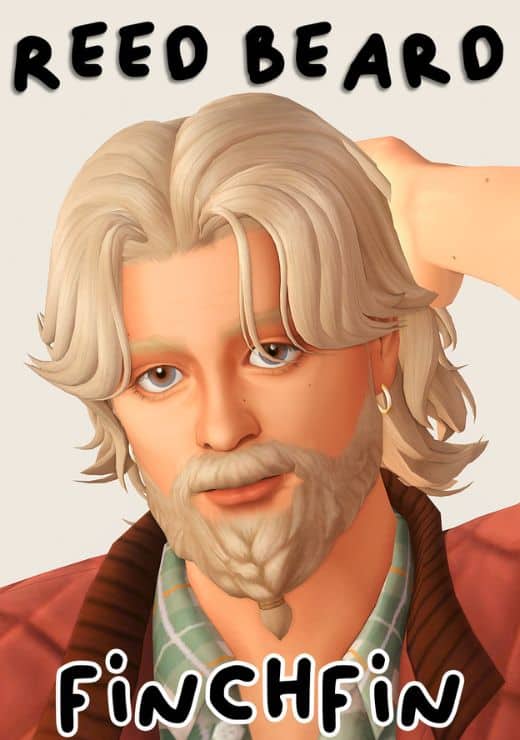 male sim with a braided beard