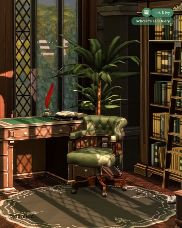 a chic and dark color office and library