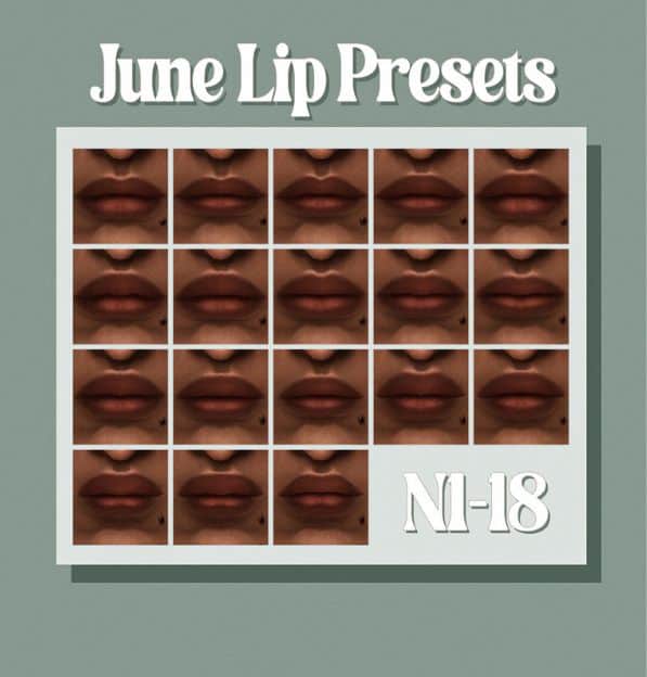 collage of 18 different lip presets