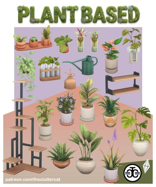 collage of mixed plants and accessories